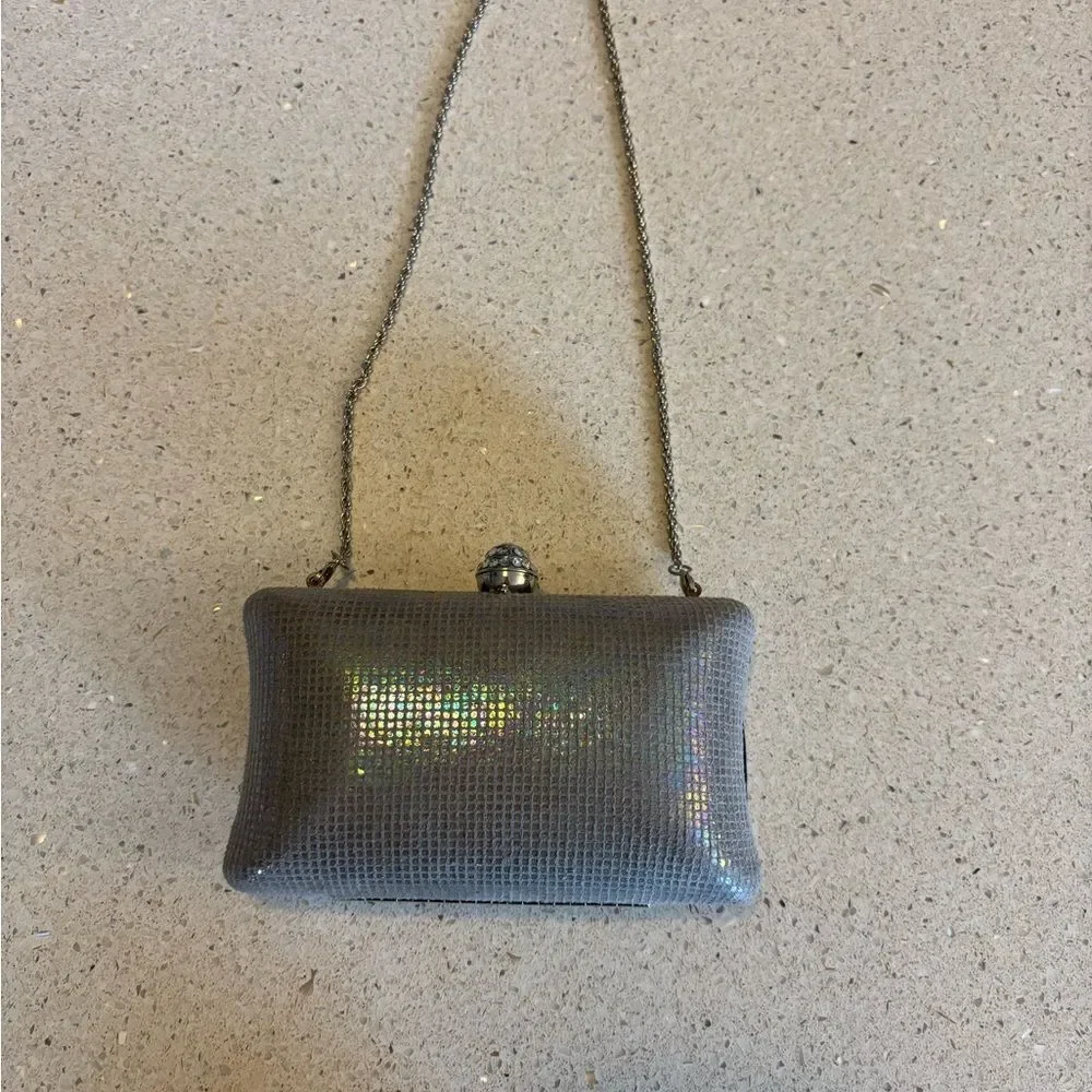 Expressions Silver Iridescent Evening Bag by Expressions NYC